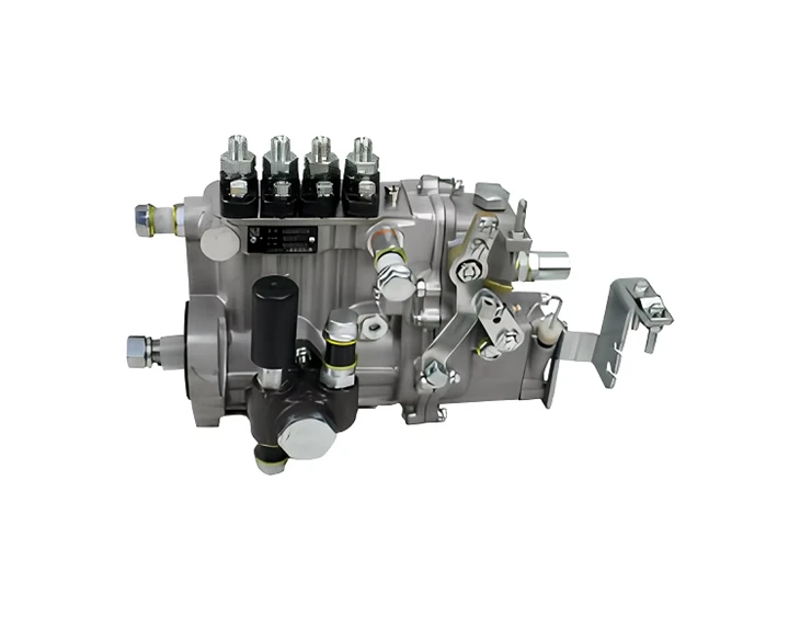 Gabelstaplerteile X4BQA58Y014 Kraftstoffeinspritzpumpe für Xichai 495bpg mit Ölmessstab